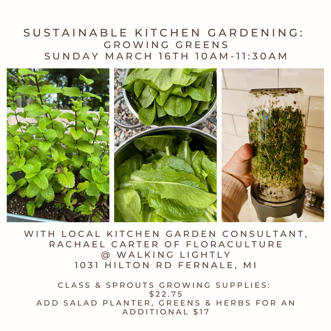 Community Learning Session: Growing Green, Sustainable Kitchen Gardening